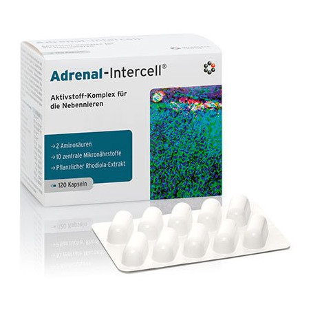 Adrenal-Intercell 120 kps