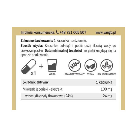 Ginkgo biloba - ekstrakt - 90 kapsułek