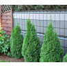 Taśma ogrodzeniowa 19,3cm x 48m pięć kolorów + KLIPSY GRATIS