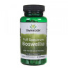 Swanson Boswellia (Kadzidłowiec) Forte 800 mg - 60 kaps
