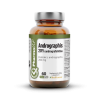 Andrographis 20% andrografolidów 60 kaps VCAPS® Clean Label™