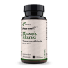 Mniszek lekarski 4:1 300 mg 90 kaps Pharmovit