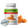 Cordyceps CS-4 w optymalnym stężeniu | MycoMedica