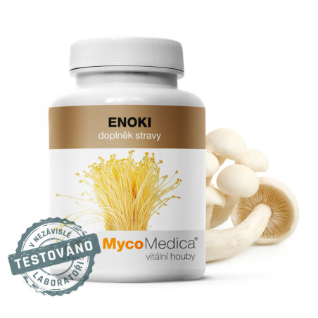 Enoki - MycoMedica