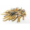 Cordyceps CS-4 Suplement diety - MycoMedica