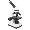 (RU) Mikroskop cyfrowy Levenhuk Rainbow D2L 0.3M, Moonstone\Kamień Księżycowy