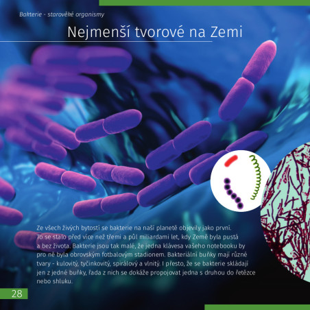 (CZ) Kosmos. Mikroświat. Książka (wydanie dwutomowe). Twarda oprawa