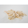 BAI SHAO (SHENG) - korzeń białej peonii (piwonii) 100g