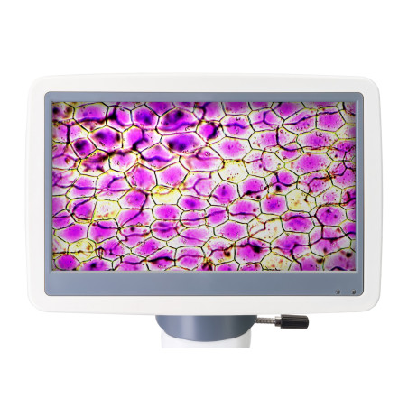 Mikroskop cyfrowy Levenhuk D85L LCD