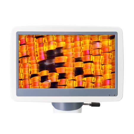 Mikroskop cyfrowy Levenhuk D95L LCD