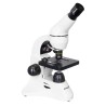 (RU) Mikroskop cyfrowy Levenhuk Rainbow D50L PLUS 2M, Moonstone\Kamień księżycowy