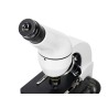 (RU) Mikroskop cyfrowy Levenhuk Rainbow D50L PLUS 2M, Moonstone\Kamień księżycowy