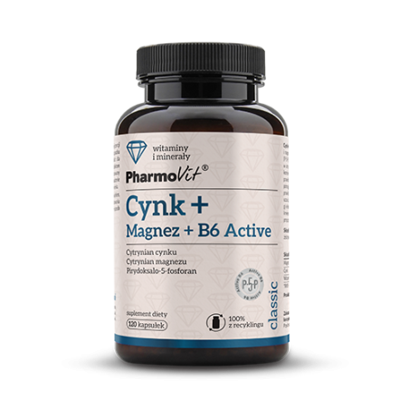 Cynk + Magnez + B6 Active 120 kaps