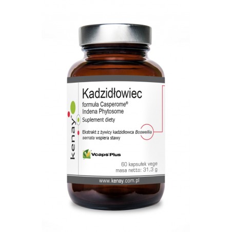 Kadzidłowiec formula Casperome® Indena Phytosome (60 kapsułek) - suplement diety