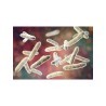 Postbiotyk Lactobacillus plantarum L-137™ (60 kapsułek)