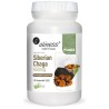 Siberian Chaga ekstrakt 40, 400mg x 90 Vege caps.