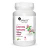 Czerwona koniczyna extract 8% 500 mg -  Aliness