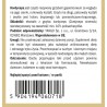 Kordyceps - ekstrakt 10% polisacharydów - 50g Yango