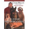 JAK ZOSTAĆ PRZYWÓDCĄ STADA_Cesar Millan