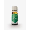 Pure Oregano Oil Hepatica