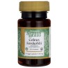 SWANSON Coleus Forskholii 500mg 30 kaps