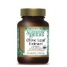 Olive Leaf Extract 500mg 60 tabl