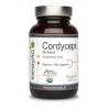 Cordyceps Sinensis Organiczny (60 kapsułek) - 525 mg