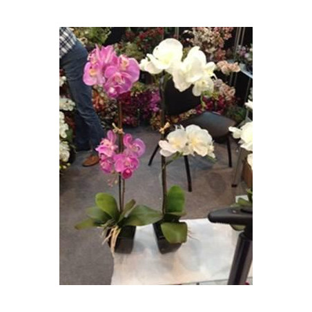 Orchidea 51x31x115cm