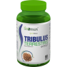 Fitomax™ TRIBULUS TERRESTRIS – 90 Kaps